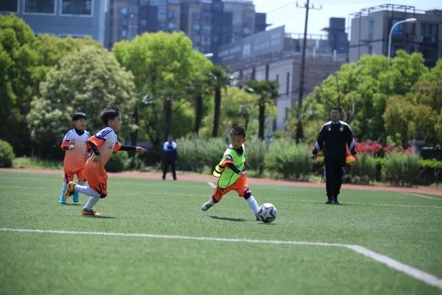 CBA最新榜单出炉：四川与广州并列领跑，山东跌入降级区